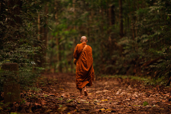 Monk in forest