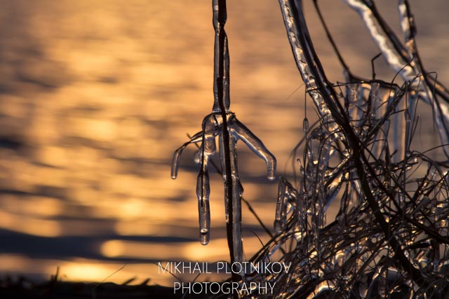 Icicle