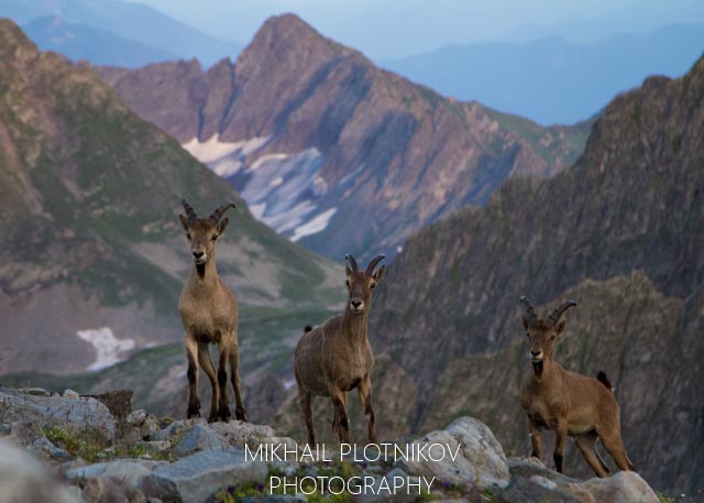 Western Caucasus